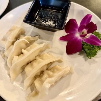 Rock'n Sushi - Gyoza deliciousness - Sushi Bars Near Me - Fort Myers, Florida