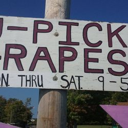 Grabelsek Vineyards