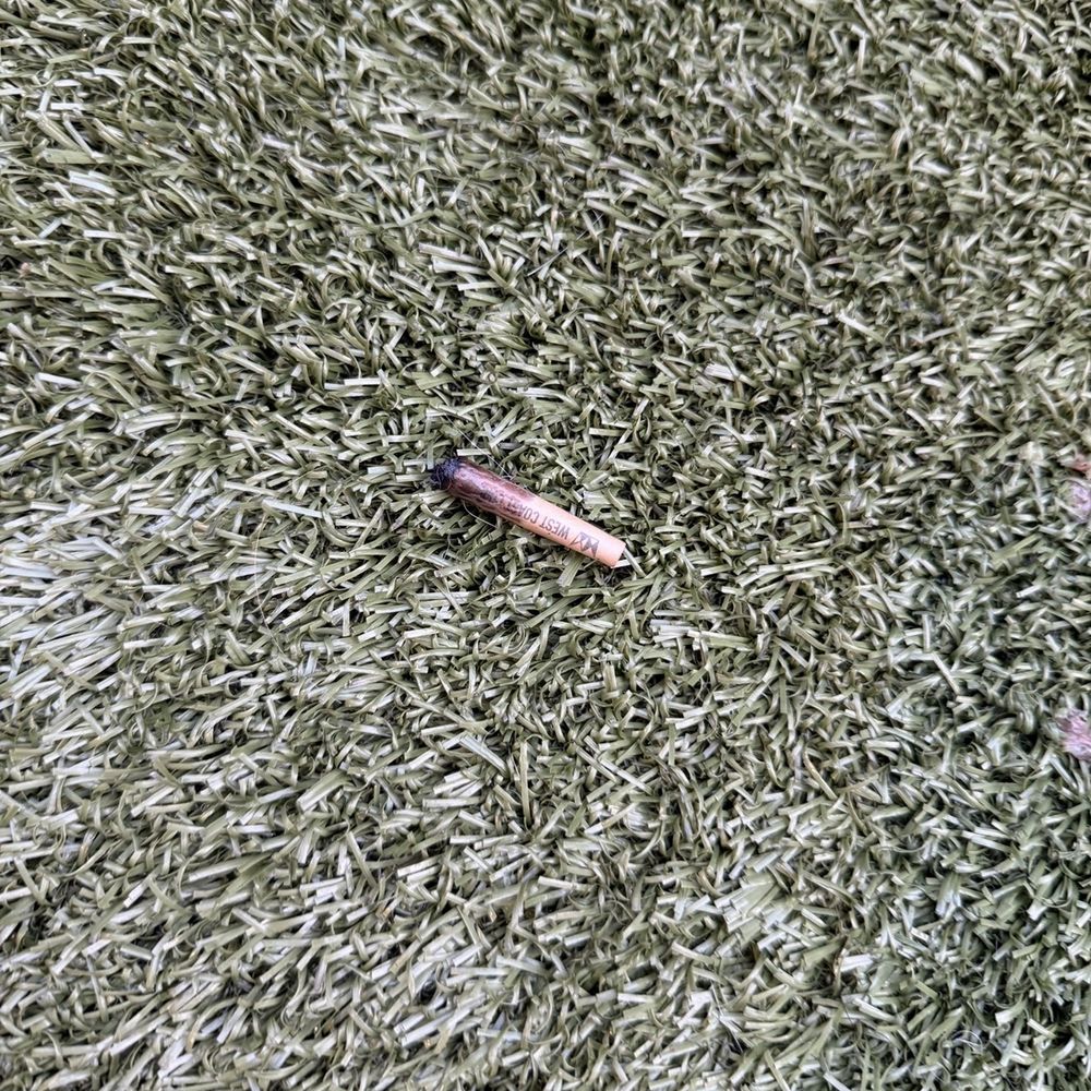 Kinley West LA - Had to take this joint out of my dogs mouth at the dog park. - Apartments Near Me - Los Angeles, California Kinley West LA - Had to take this joint out of my dogs mouth at the dog park. - Apartments Near Me - Los Angeles, California