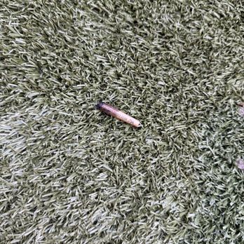 Kinley West LA - Had to take this joint out of my dogs mouth at the dog park. - Apartments Near Me - Los Angeles, California Kinley West LA - Had to take this joint out of my dogs mouth at the dog park. - Apartments Near Me - Los Angeles, California