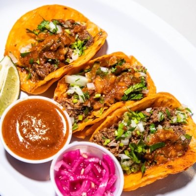 Birria Landia by null