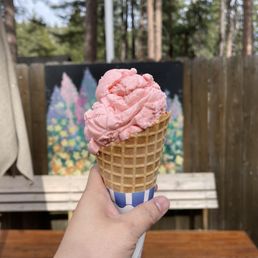 Ice Cream Waffle Cone