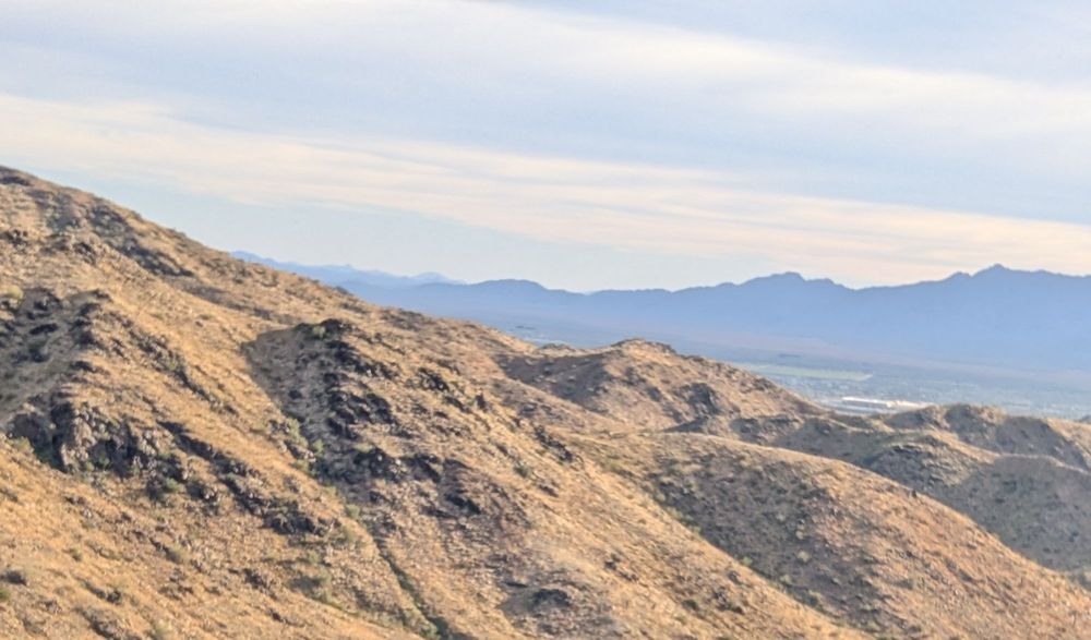 Bursera Trailhead Logo