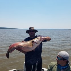 Wild Bill's Fishing Adventures