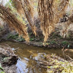 Brea Dam Park