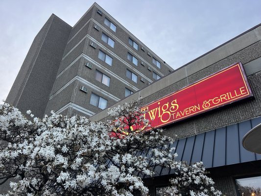 Twigs Tavern and Grille by null