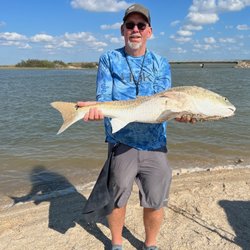 Tres Palacios RV Park - Bull Red