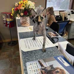 Montrose Veterinary Clinic