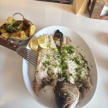 Selini - Excellent fish with amazing grilled potatoes. - Greek Near Me - Delray Beach, Florida