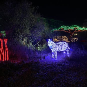 River Of Lights - Zebra - Festivals Near Me - Albuquerque, New Mexico