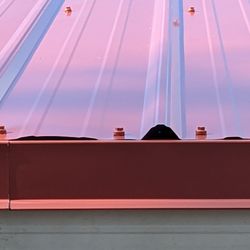 Hippo Roofing - No overhang