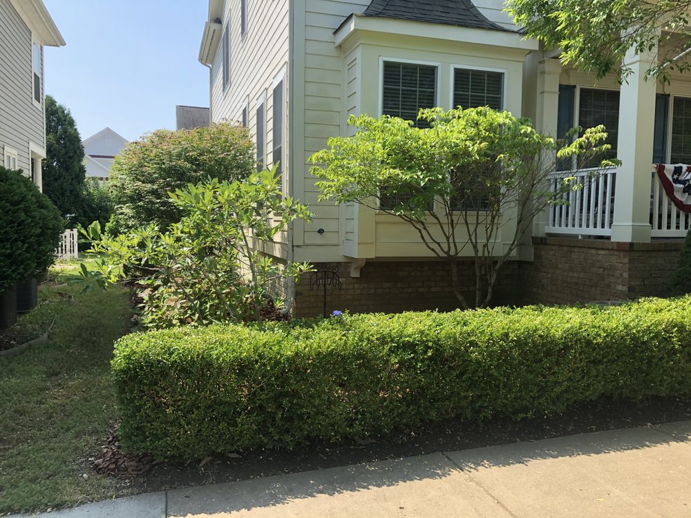 SEASONS NOW 12 Photos Fredericksburg, Virginia Lawn Services