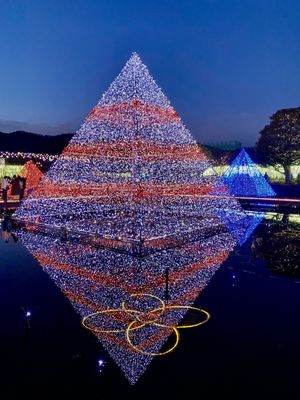 Ashikaga Flower Park by null