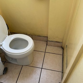 Simple Joy Vegetarian Cuisine - the toilet - New American Near Me - Honolulu, Hawaii