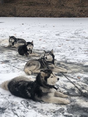 Silent Run Adventures