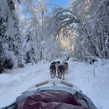 Paws For Adventure - Tours Near Me Paws For Adventure - Tours Near Me