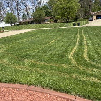 TruGreen Lawn Care - Front yard - Tree Services Near Me - Canton, Ohio