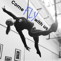 Air Born Aerial Fitness - Circus Aerial Classes