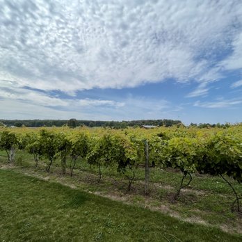 Spare Key Winery - The grapes - Wineries Near Me - Charlevoix, Michigan