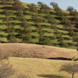 Ciao Wine Tours