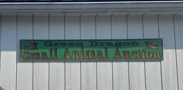 The Green Dragon Market by null