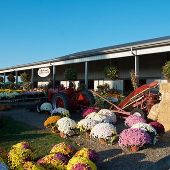 Helen's Greenhouse - Taken October 25, 2014. - Farmers Market Near Me - Aquebogue, New York