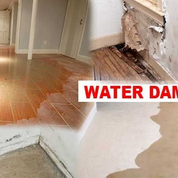 MiraMold - Damage Restoration Near Me MiraMold - Damage Restoration Near Me