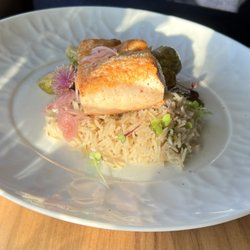Cape Cliff - Salmon