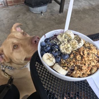 South Block - Pup approved! - Coffee & Tea Near Me - Vienna, Virginia South Block - Pup approved! - Coffee & Tea Near Me - Vienna, Virginia