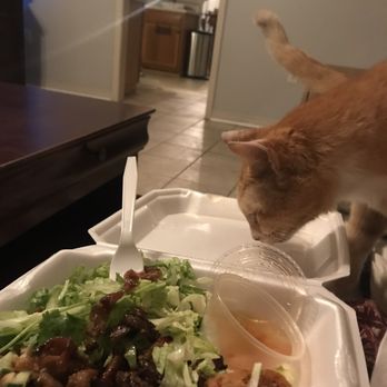 Viet Kitchen - I didn't share a single bite with this rude boy - Vietnamese Near Me - Mandeville, Louisiana