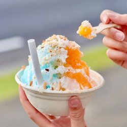 Gecko Girlz Shave Ice and Ice Cream - Hawaii dessert with vegan options