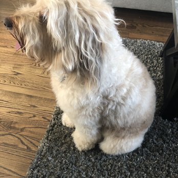 Magic Scissors Dog Grooming - Pet Groomers Near Me - Park Ridge, Illinois