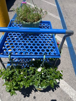 Walmart Supercenter by null