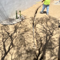 Digging trenches. Everything up to code. Digging trenches. Everything up to code.