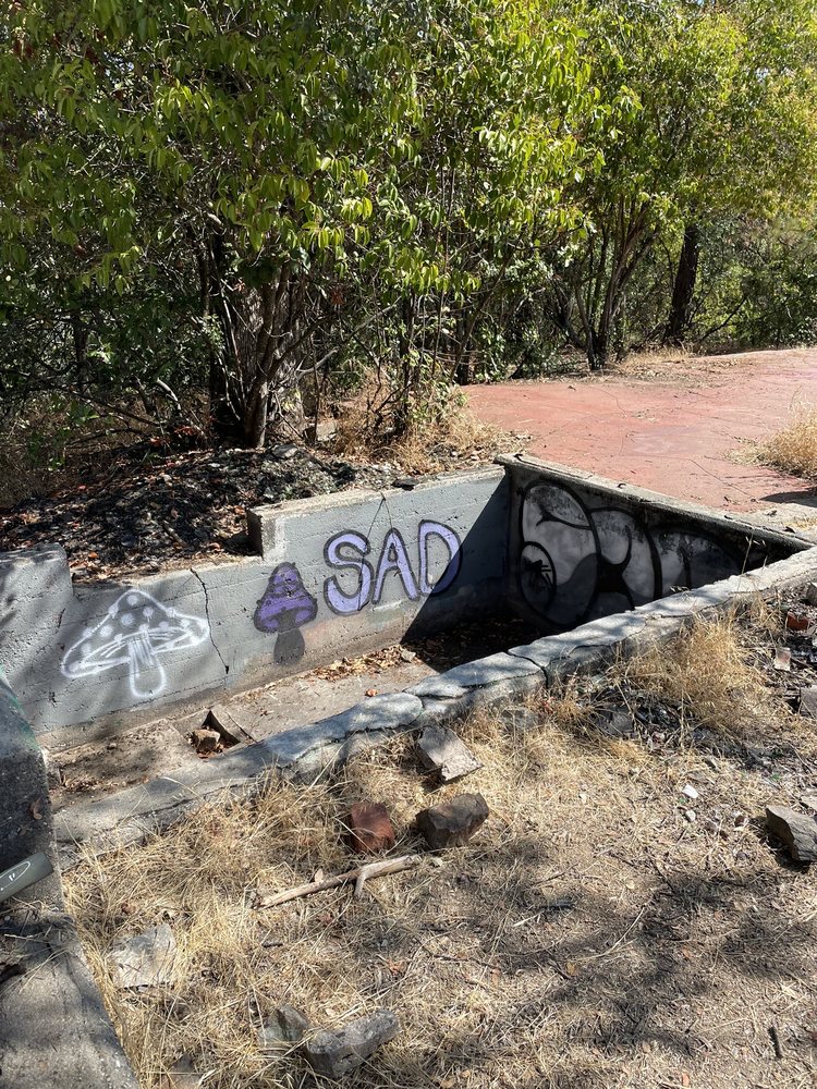 ROBIE POINT TRAIL Updated September 2024 59 Photos 410 Robie Dr