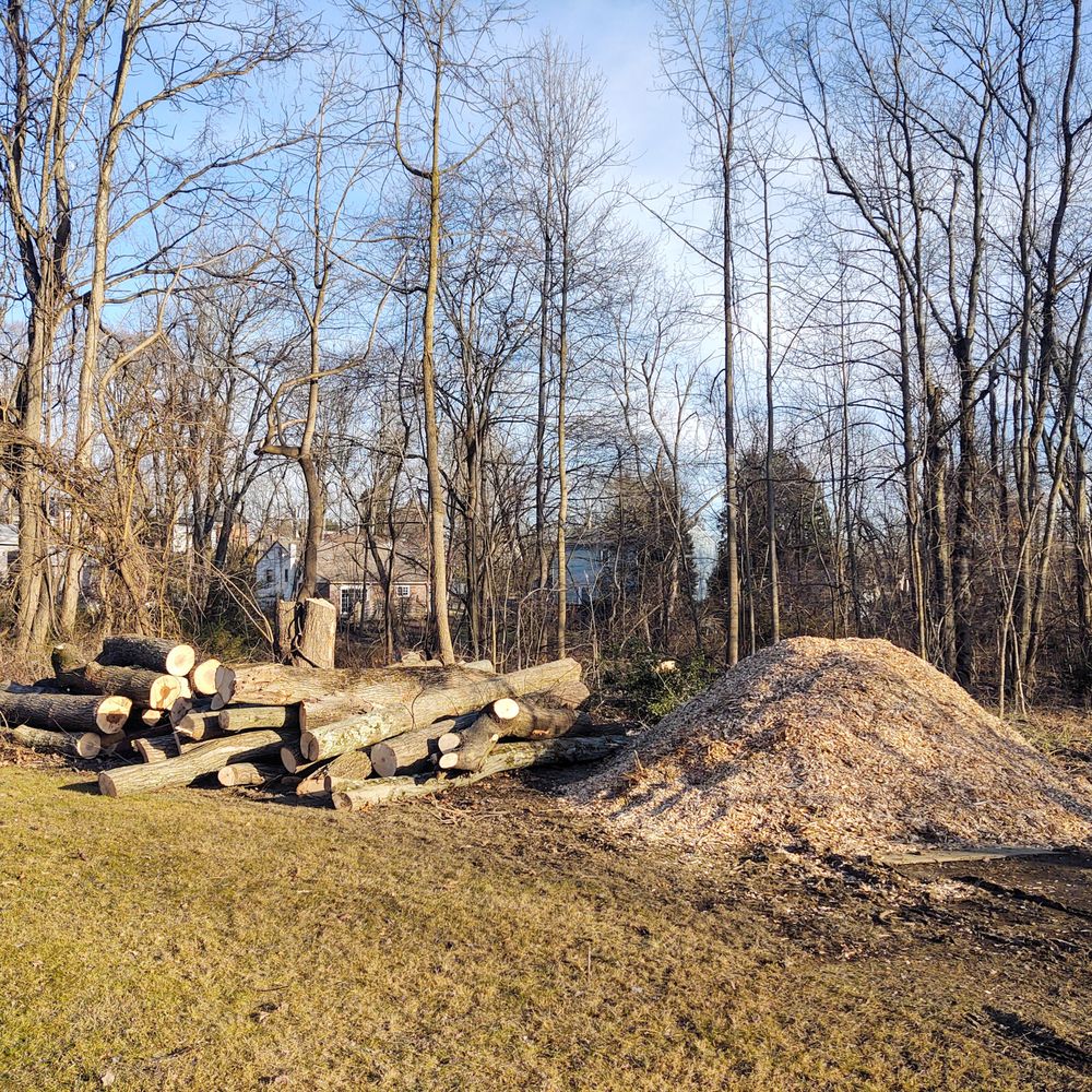 Arbor Tech Tree Experts - Tree Services Near Me Arbor Tech Tree Experts - Tree Services Near Me