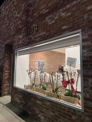 Osusume Fumio by null