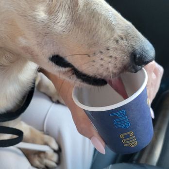 Cali Coffee - Coffee & Tea Near Me - Cooper City, Florida