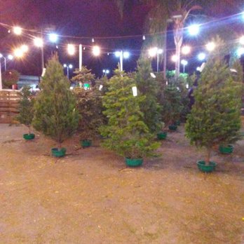 Sonshine Christmas Trees - Christmas Trees Near Me - La Habra, California Sonshine Christmas Trees - Christmas Trees Near Me - La Habra, California