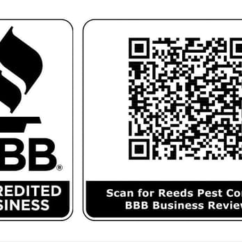 Reed's Pest Control - Pest Control Near Me - Columbus, Ohio Reed's Pest Control - Pest Control Near Me - Columbus, Ohio