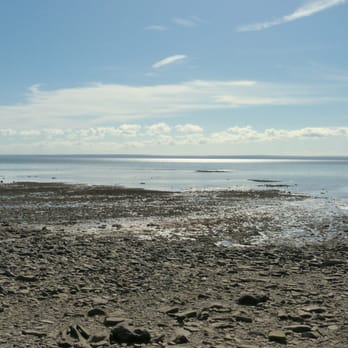 Fundy National Park - Parks Near Me - Alma, New Brunswick