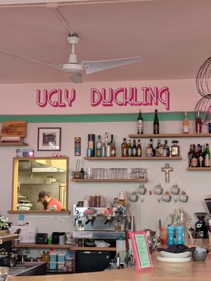 Ugly Duckling Maine by null