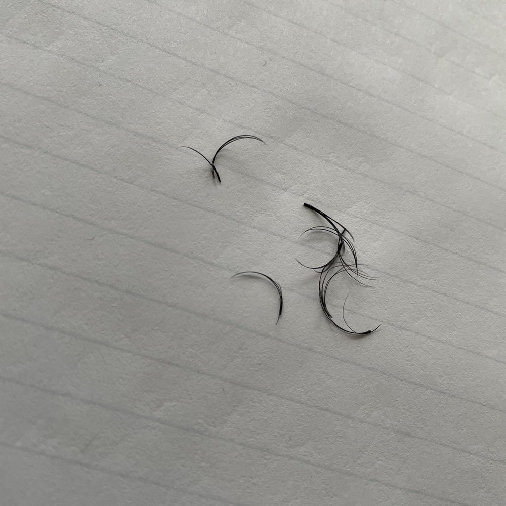 Lashes