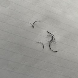 Lashes Lashes
