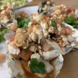 Oysters