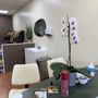 Photo of Nails & Spa by Nature