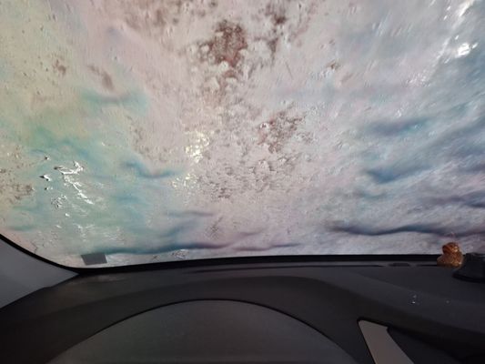 Elephant Car Wash by null