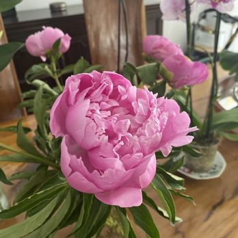 Miami Flowers Design - Florists Near Me - Miami, Florida Miami Flowers Design - Florists Near Me - Miami, Florida