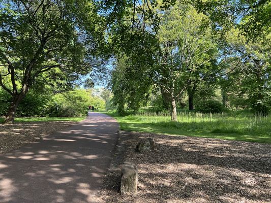 Royal Botanic Garden Edinburgh by null