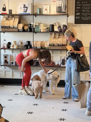 Buddy Brew Coffee by null